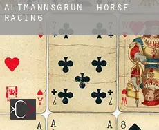 Altmannsgrün  horse racing
