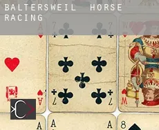 Baltersweil horse racing
