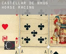 Castellar de n'Hug horse racing