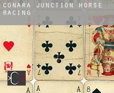 Conara Junction  horse racing