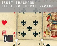 Ernst-Thälmann-Siedlung horse racing