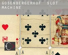 Gosenbergerhof  slot machine