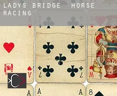 Lady’s Bridge  horse racing