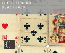 Luchsiedlung blackjack