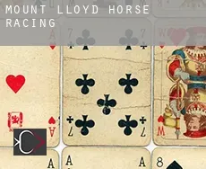 Mount Lloyd  horse racing