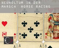 Neuholtum in der Marsch  horse racing