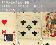 Papalotla de Xicohtencatl  horse racing