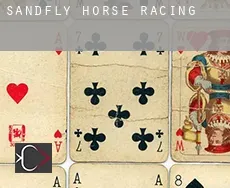 Sandfly  horse racing