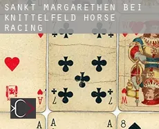 Sankt Margarethen bei Knittelfeld  horse racing