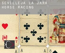 Sevilleja de la Jara  horse racing