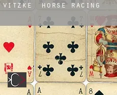 Vitzke horse racing