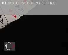 Bindle slot machine