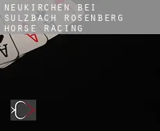 Neukirchen bei Sulzbach-Rosenberg horse racing