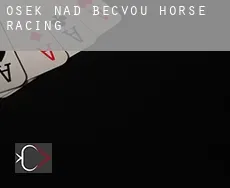 Osek nad Bečvou horse racing