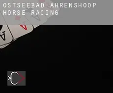 Ostseebad Ahrenshoop horse racing