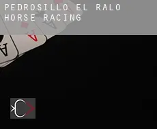 Pedrosillo el Ralo horse racing