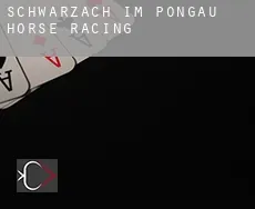 Schwarzach im Pongau  horse racing