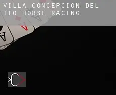 Villa Concepción del Tío  horse racing