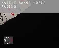 Wattle Range  horse racing