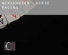 Werxhausen  horse racing