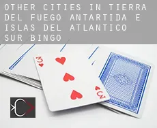 Other cities in Tierra del Fuego, Antartida e Islas del Atlantico Sur  bingo
