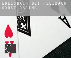 Edelsbach bei Feldbach  horse racing
