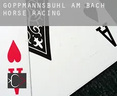 Göppmannsbühl am Bach  horse racing