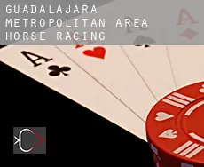 Guadalajara Metropolitan Area  horse racing