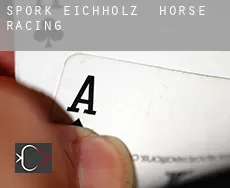 Spork-Eichholz  horse racing