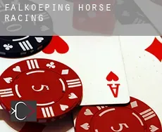 Falköping  horse racing