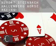 Kurort Steinbach-Hallenberg  horse racing