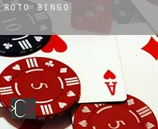 Roto  bingo