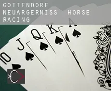 Göttendorf-Neuärgerniss horse racing