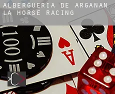 Alberguería de Argañán (La) horse racing
