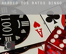 Arroio dos Ratos  bingo