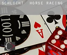 Schlicht horse racing