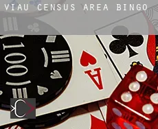 Viau (census area)  bingo