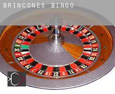 Brincones  bingo