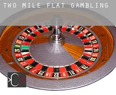 Two Mile Flat  gambling