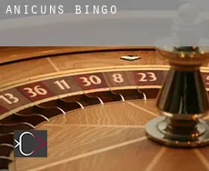Anicuns bingo