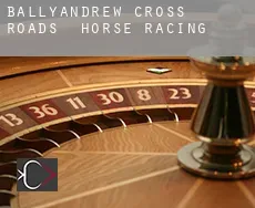 Ballyandrew Cross Roads horse racing