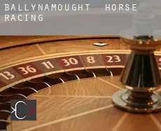 Ballynamought  horse racing