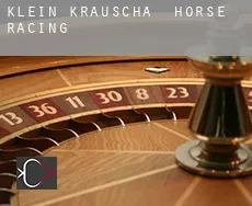 Klein Krauscha horse racing
