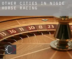 Other cities in Nigde horse racing