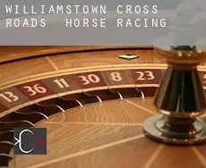 Williamstown Cross Roads  horse racing