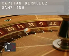 Capitán Bermúdez  gambling
