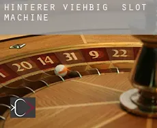 Hinterer Viehbig slot machine