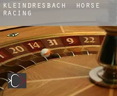 Kleindresbach  horse racing