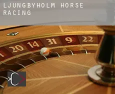 Ljungbyholm  horse racing