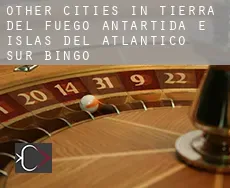 Other cities in Tierra del Fuego, Antartida e Islas del Atlantico Sur  bingo